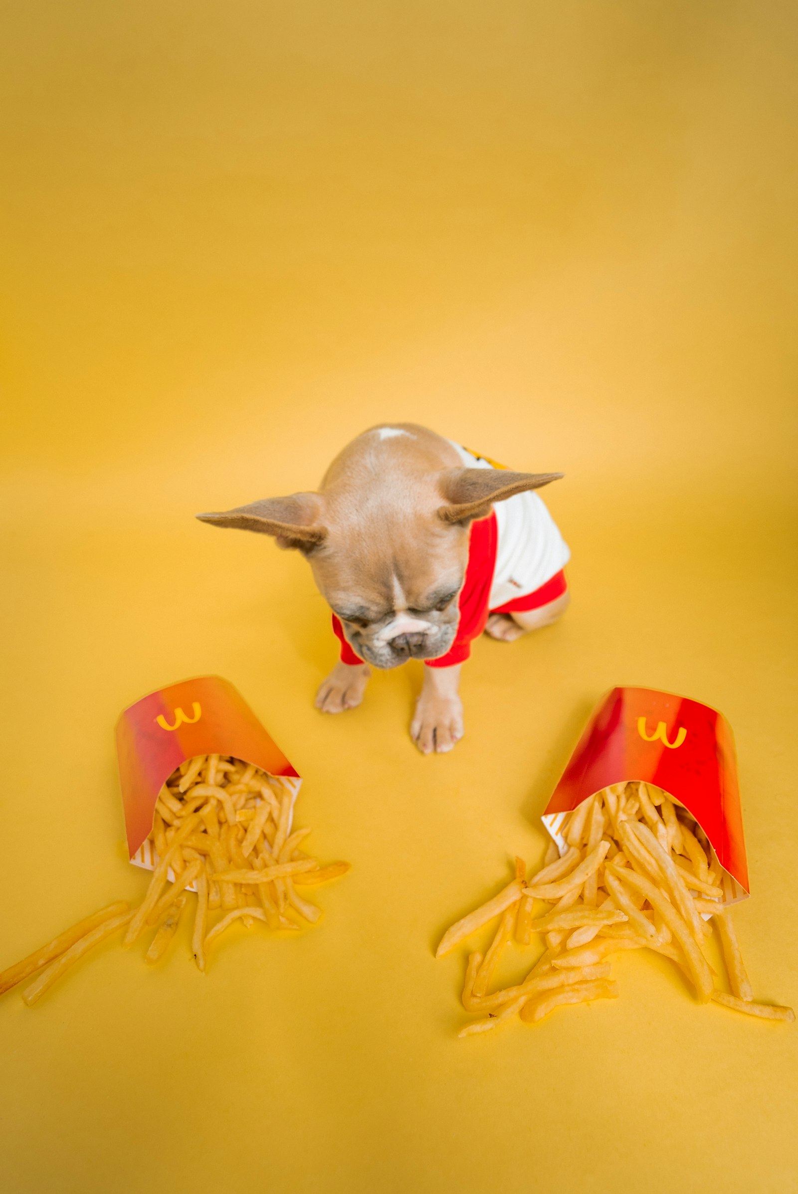 Équipement de chauffage installé en façade d'une maison